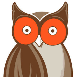 Hooters Logo