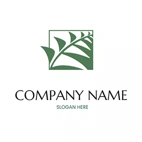 Fern Logo Abstract Square Palm Fern logo design
