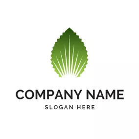Nature Logo Abundant Light and Nature Leaf logo design