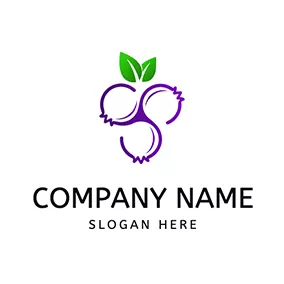 Berry Logo Cartoon Blueberry Icon logo design