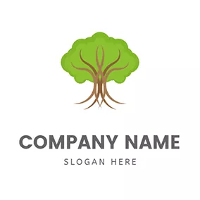 Oak Tree Logo Frondent Oak Tree logo design