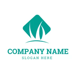 Spring Logo Grass and Lawn Care logo design