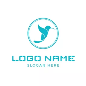 Sparrow Logo Green Circle and Hummingbird logo design