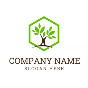 Spring Logo Green Hexagon and Thriving Tree logo design