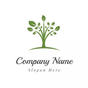Spring Logo Green Tree logo design