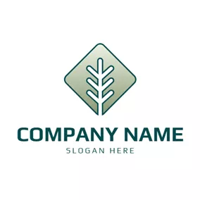 Nature Logo Square and Nature Leaf logo design
